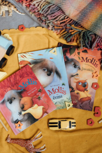 <b>GRĀMATU KOMPLEKTS MAZAJIEM LASĪTĀJIEM</b>