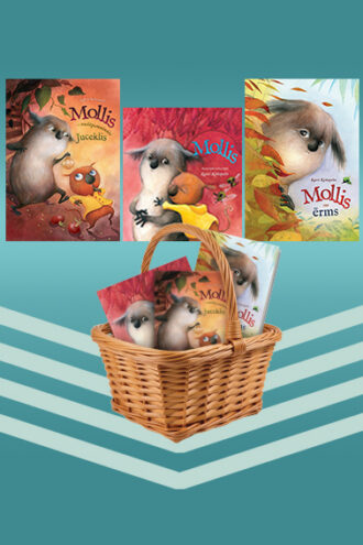 <b>GRĀMATU KOMPLEKTS MAZAJIEM LASĪTĀJIEM</b>